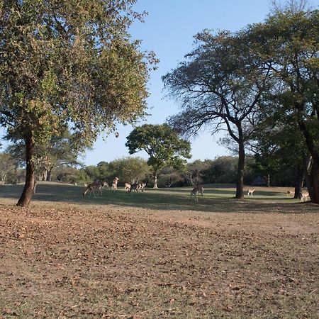 Kruger Park Lodge Unit 245 雾观 外观 照片
