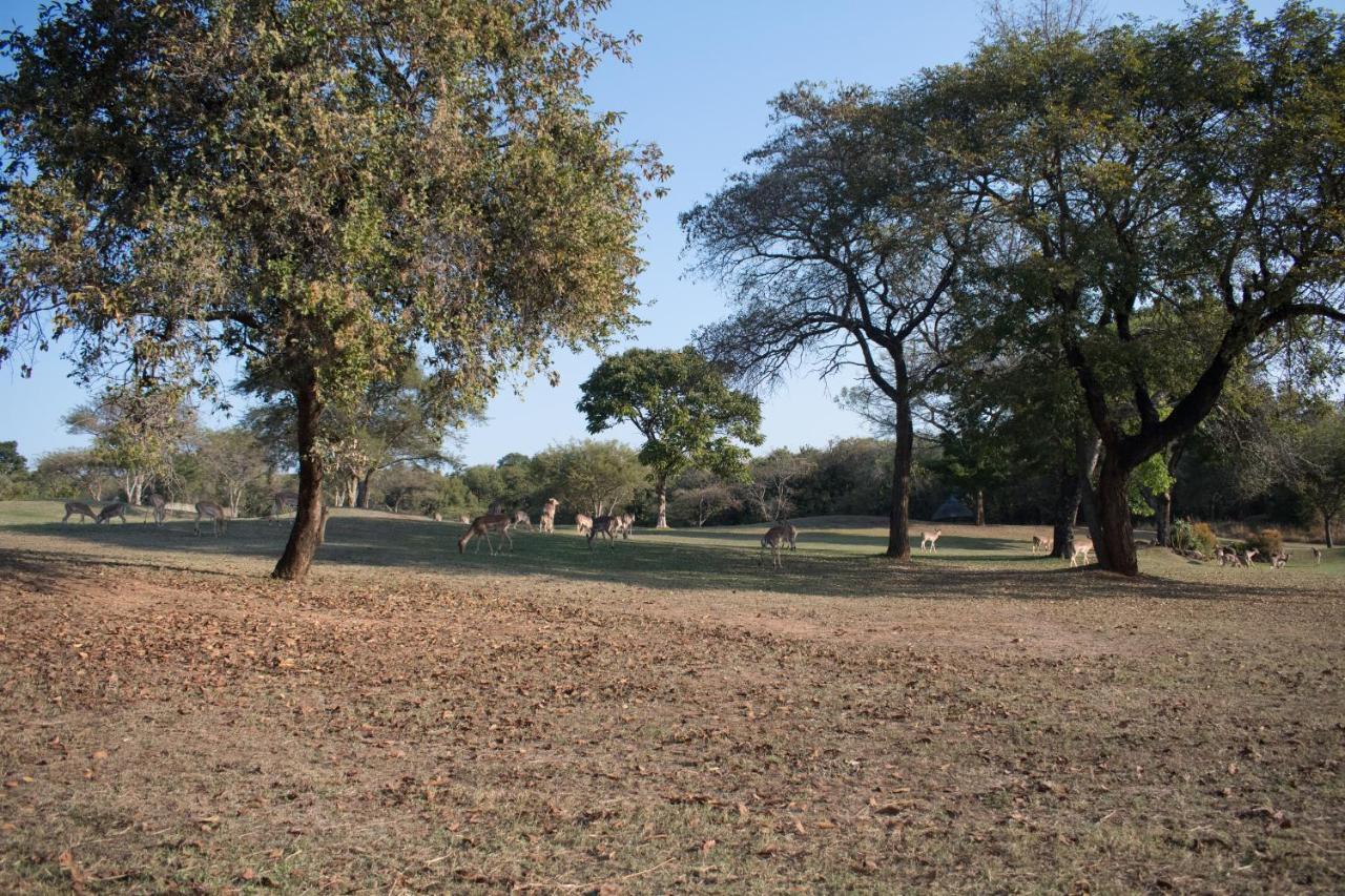 Kruger Park Lodge Unit 245 雾观 外观 照片